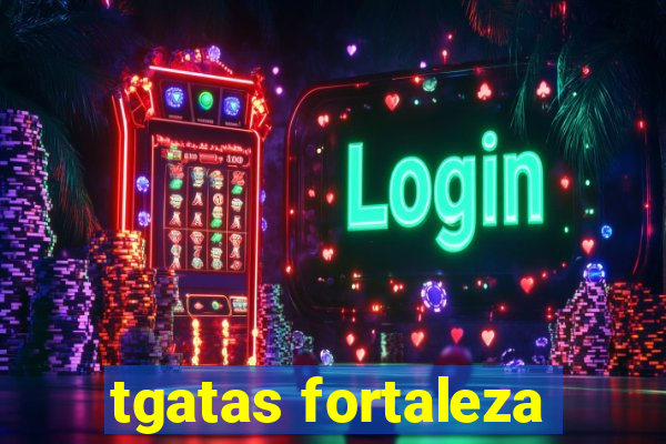 tgatas fortaleza